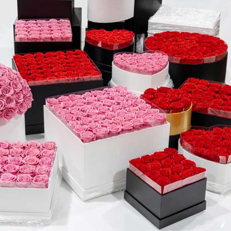 Ember Pelukan Bunga yang Diawetkan