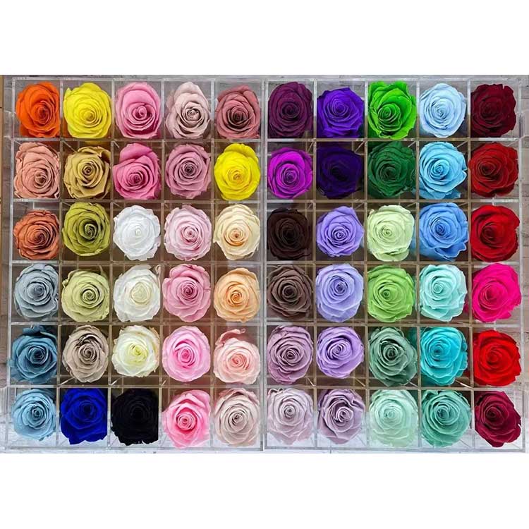 Mawar yang Diawetkan