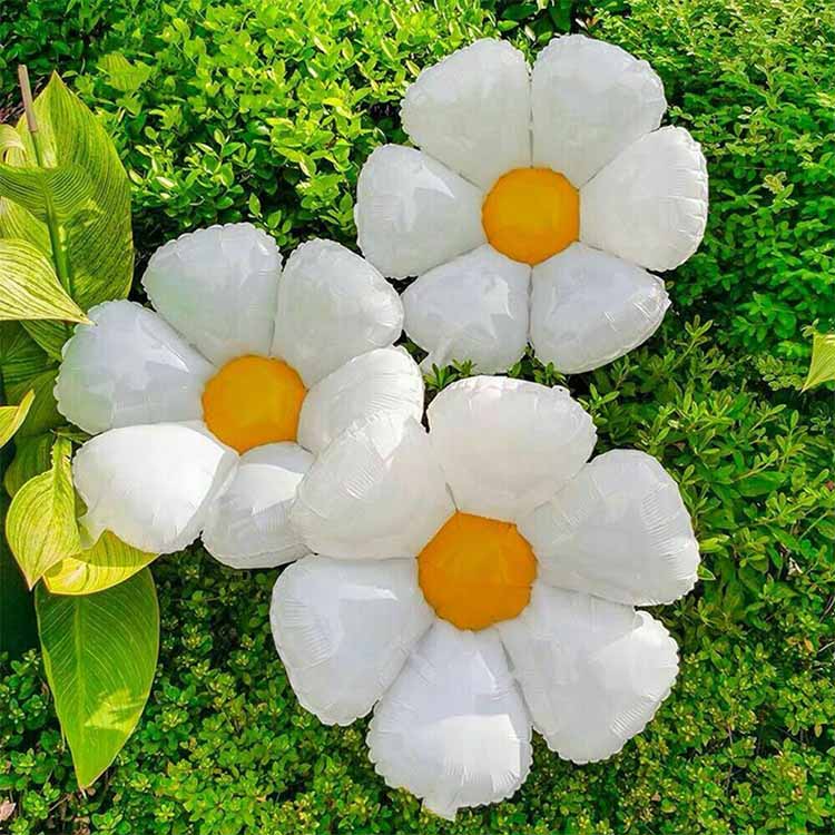 Enam Balon Foil Daisy Petal